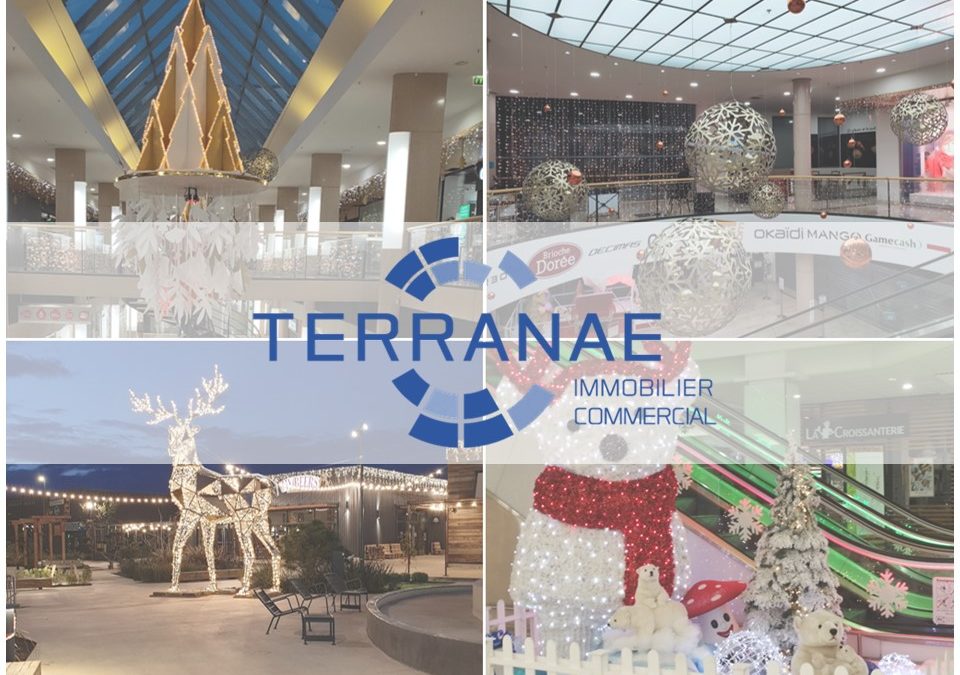 28 novembre : réouverture des 62 Centres Commerciaux/Retail Parks gérés par Terranae